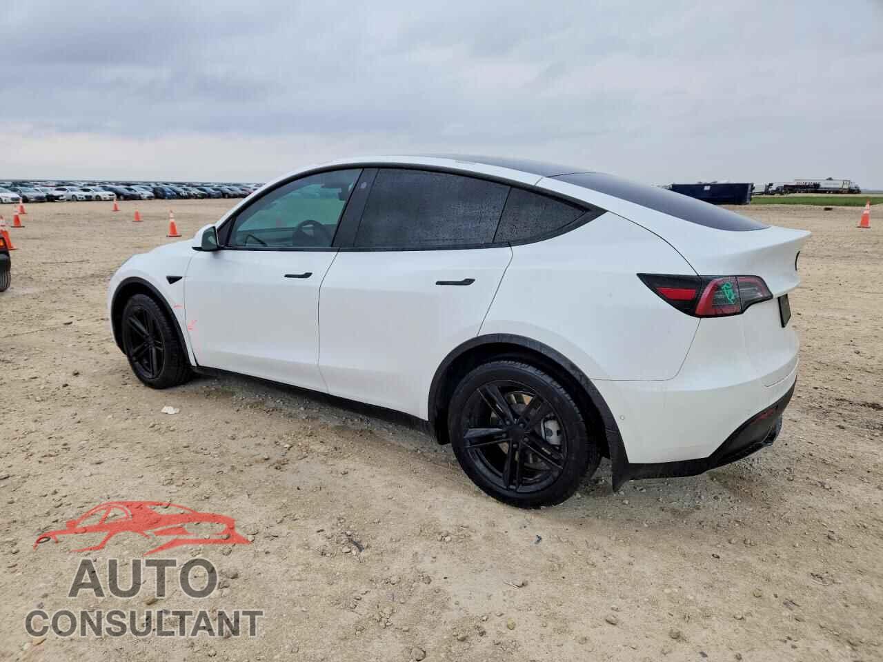TESLA MODEL Y 2021 - 5YJYGDEEXMF157018