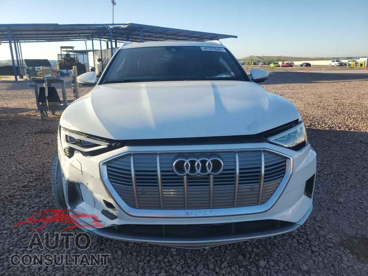 AUDI E-TRON 2019 - WA1VAAGE1KB020995
