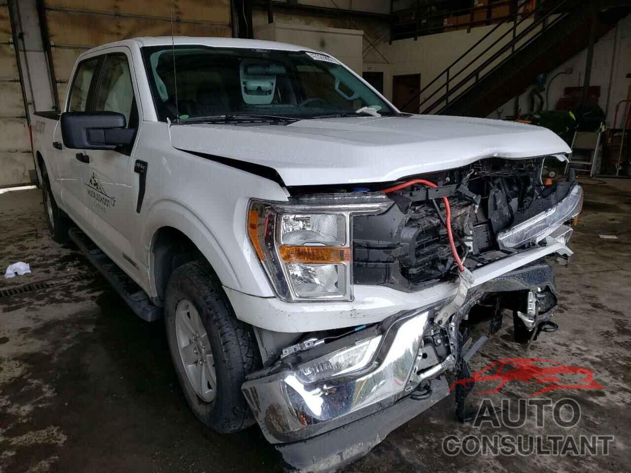 FORD F-150 2021 - 1FTFW1ED3MFA61551