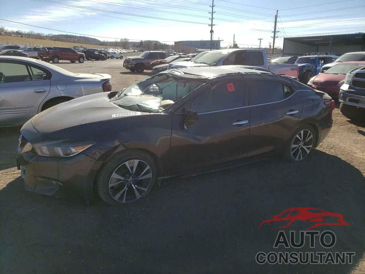 NISSAN MAXIMA 2016 - 1N4AA6AP5GC440150