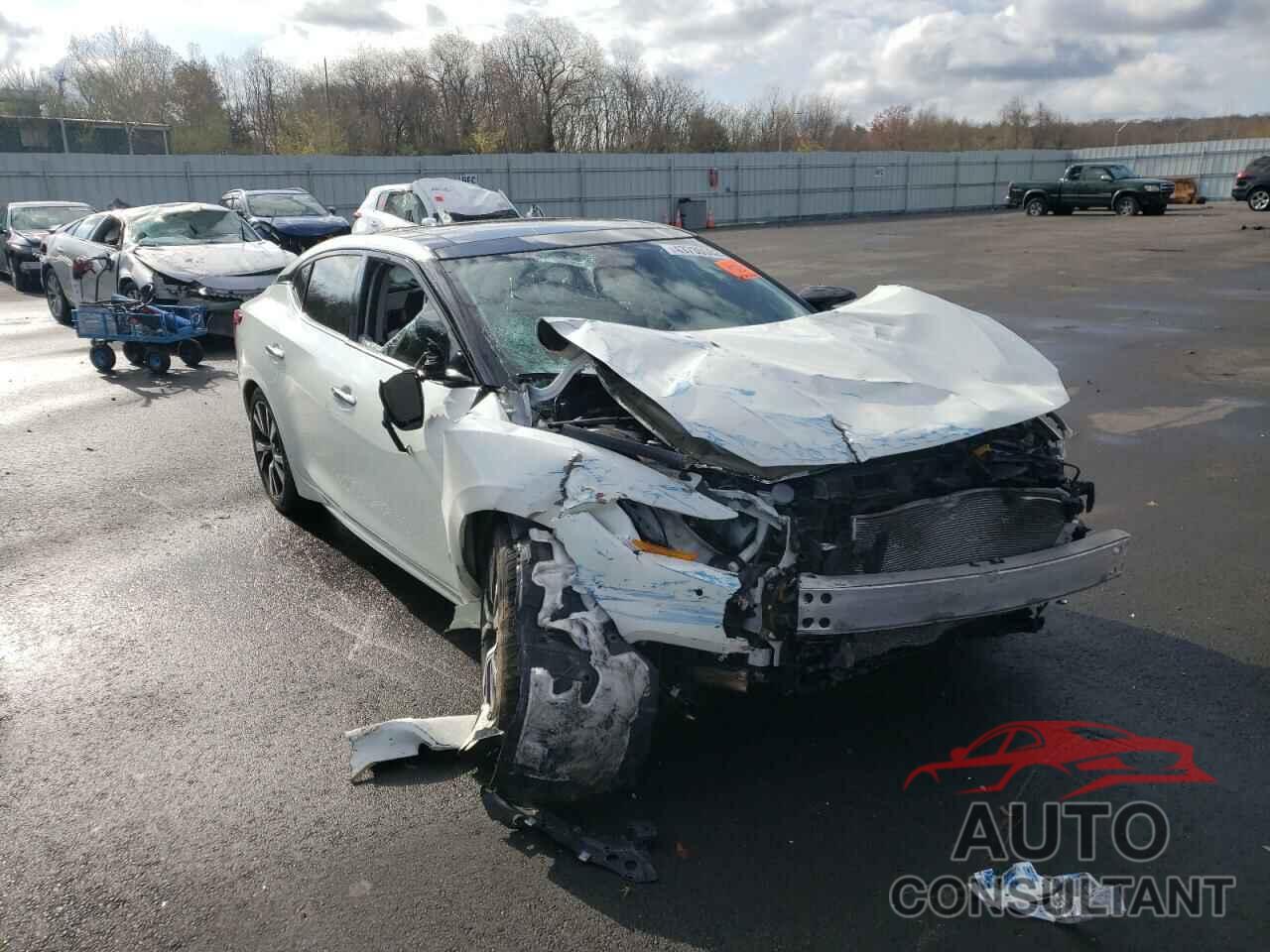 NISSAN MAXIMA 2017 - 1N4AA6AP2HC408418