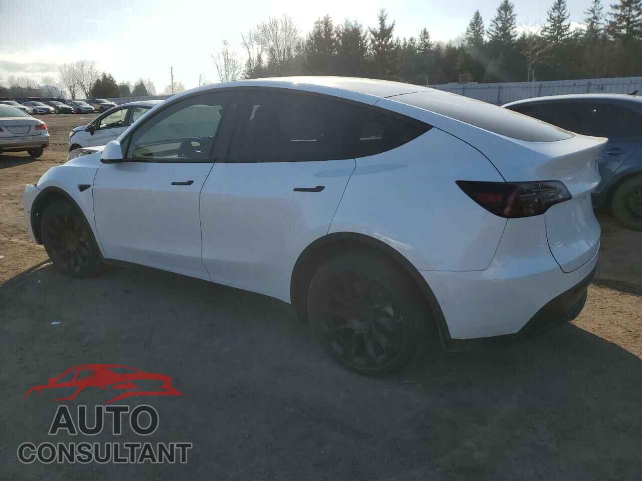 TESLA MODEL Y 2022 - 7SAYGDEE2NF449671