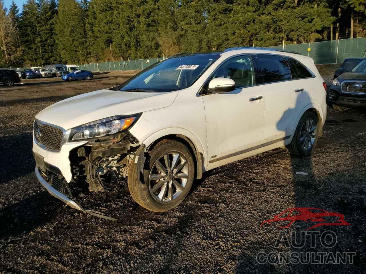 KIA SORENTO 2017 - 5XYPKDA55HG262354