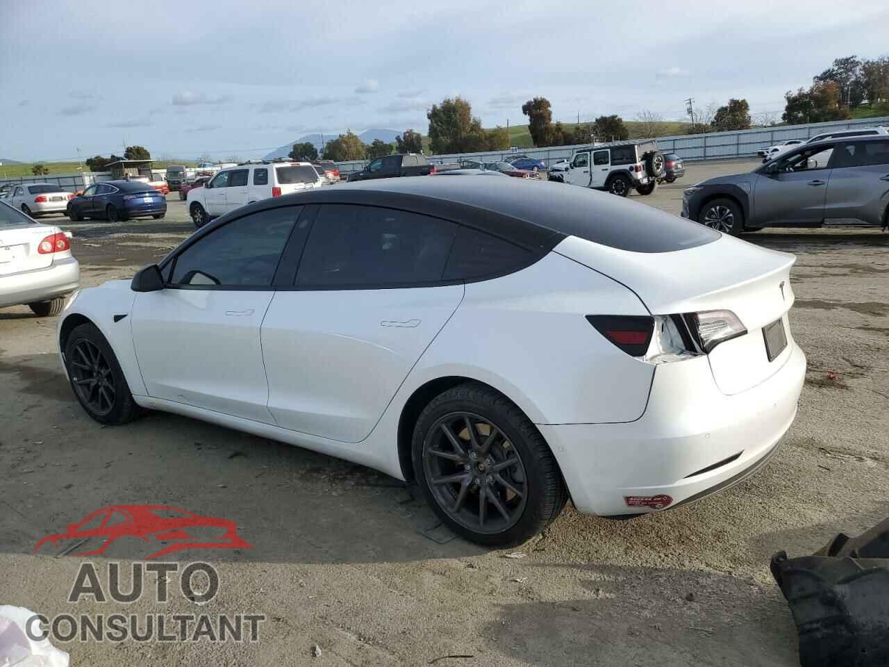 TESLA MODEL 3 2019 - 5YJ3E1EA1KF485677