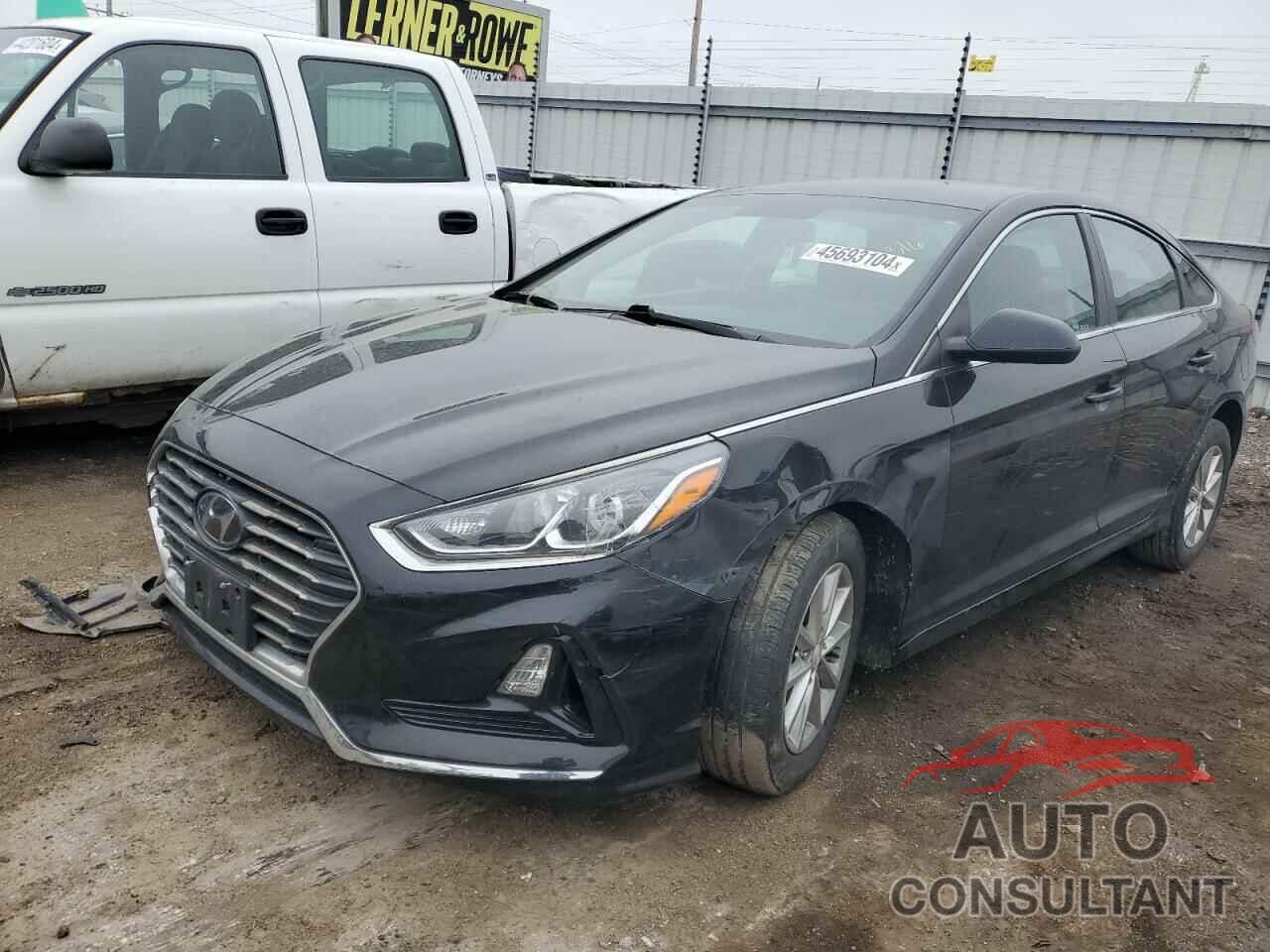 HYUNDAI SONATA 2019 - 5NPE24AF0KH817789