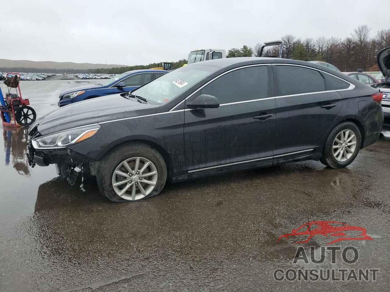 HYUNDAI SONATA 2019 - 5NPE24AF2KH729181