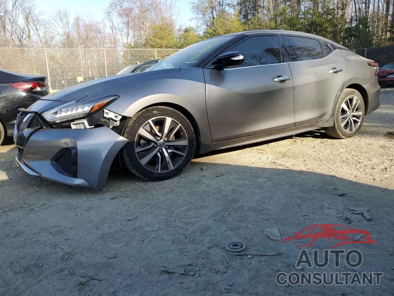 NISSAN MAXIMA 2019 - 1N4AA6AV2KC360490