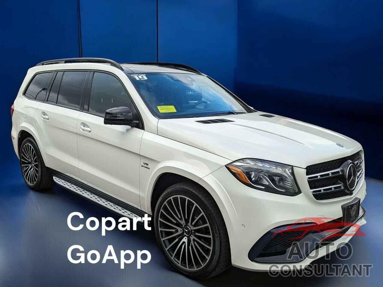 MERCEDES-BENZ GLS-CLASS 2019 - 4JGDF7FE6KB224520