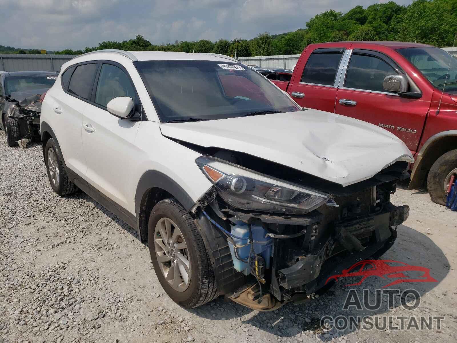 HYUNDAI TUCSON 2016 - KM8J33A48GU032675
