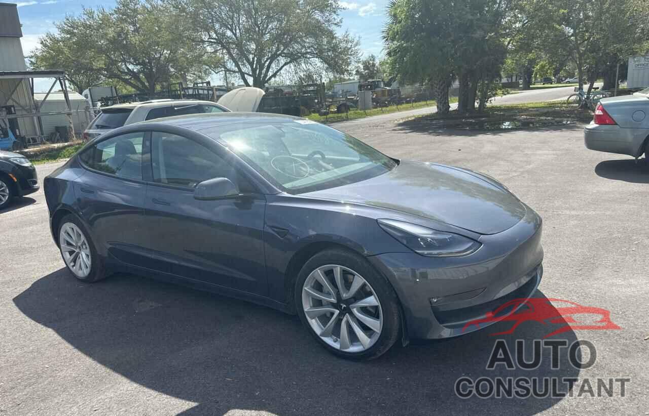 TESLA MODEL 3 2022 - 5YJ3E1EA1NF287802