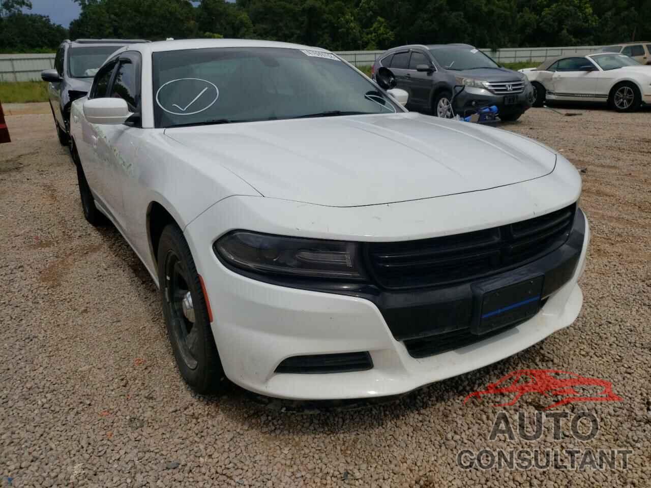 DODGE CHARGER 2019 - 2C3CDXAG7KH564382