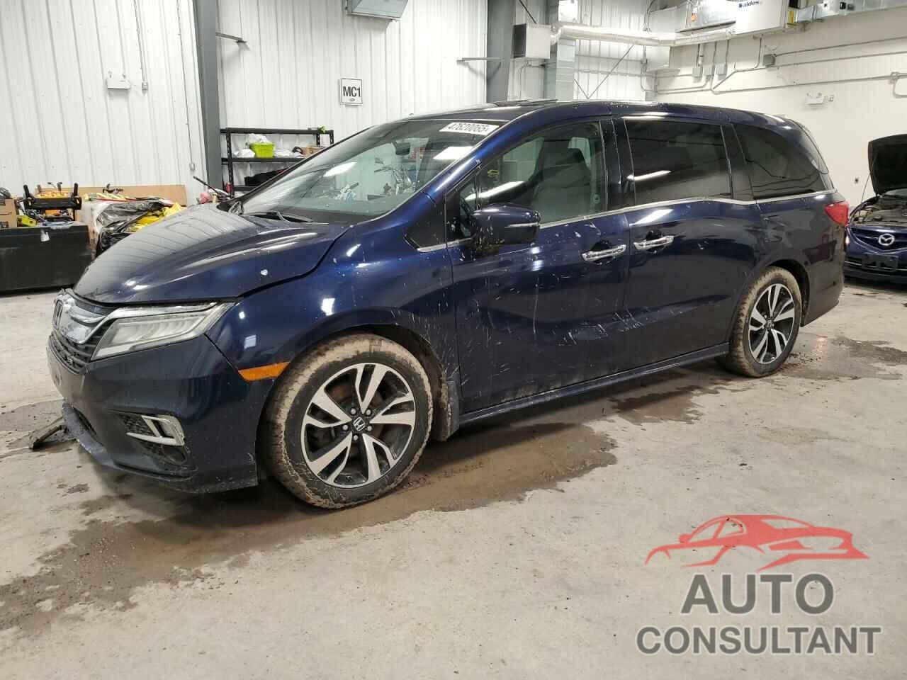 HONDA ODYSSEY 2019 - 5FNRL6H80KB505150