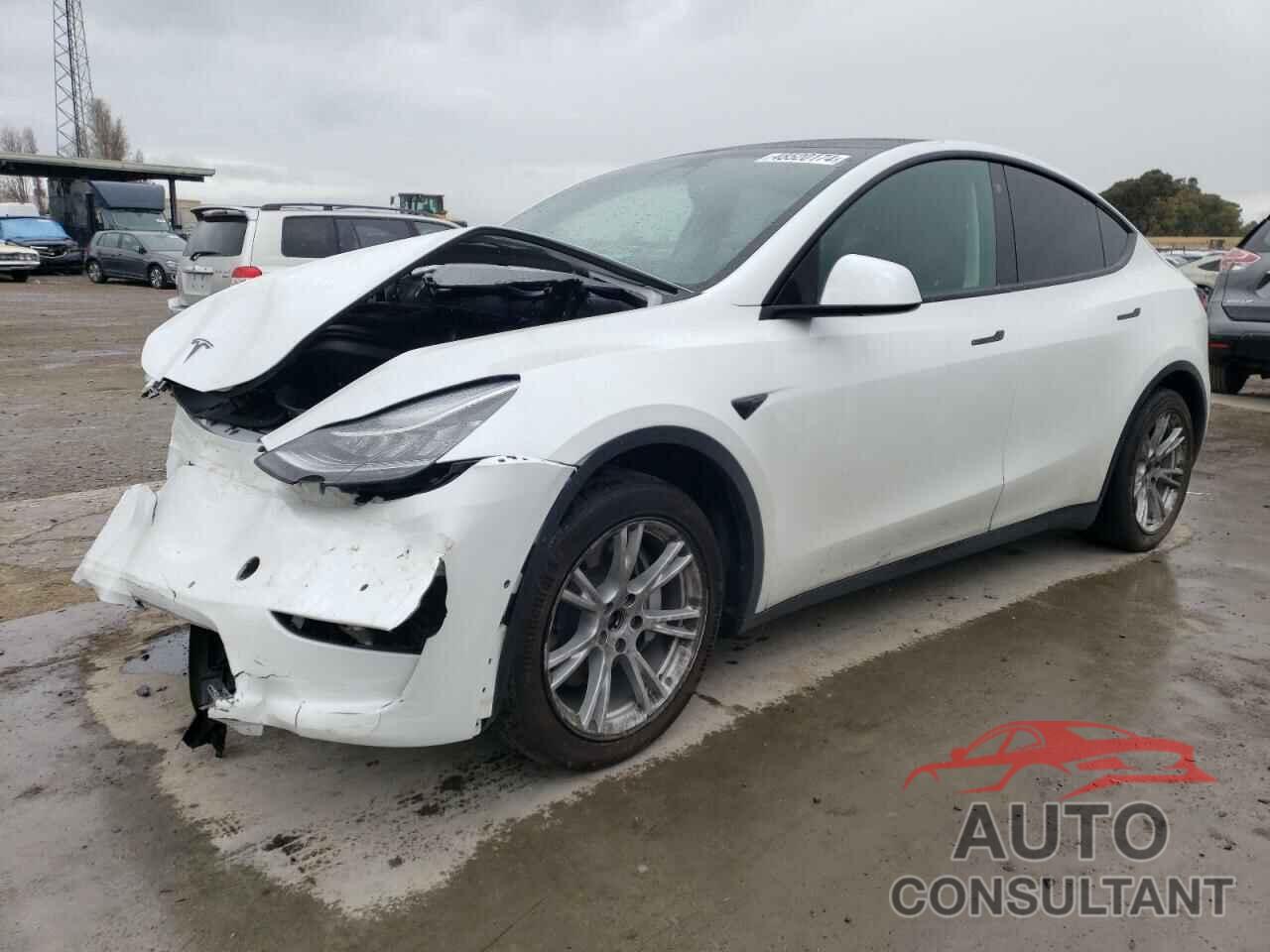 TESLA MODEL Y 2021 - 5YJYGAEE5MF223151