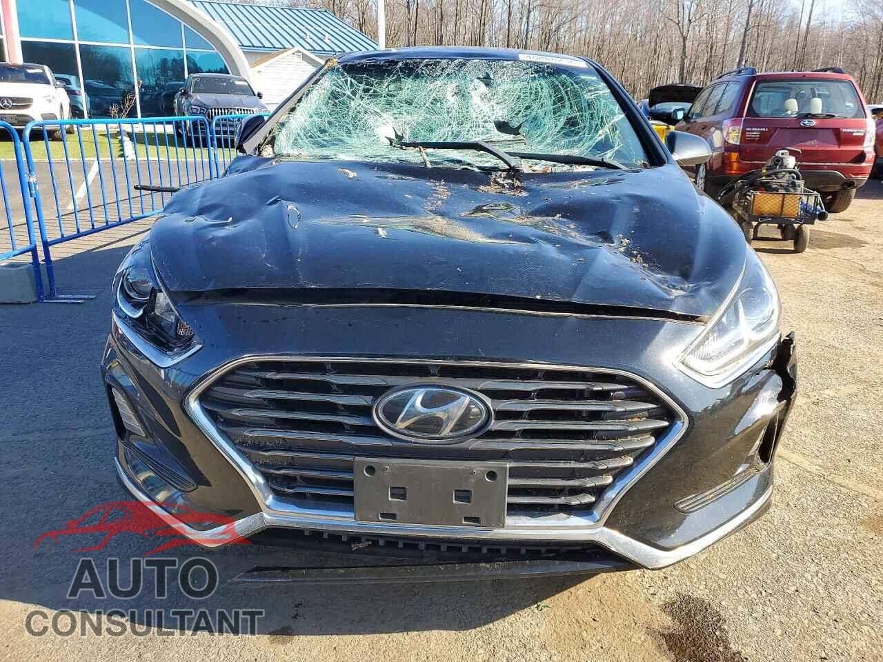 HYUNDAI SONATA 2019 - 5NPE24AF2KH772418
