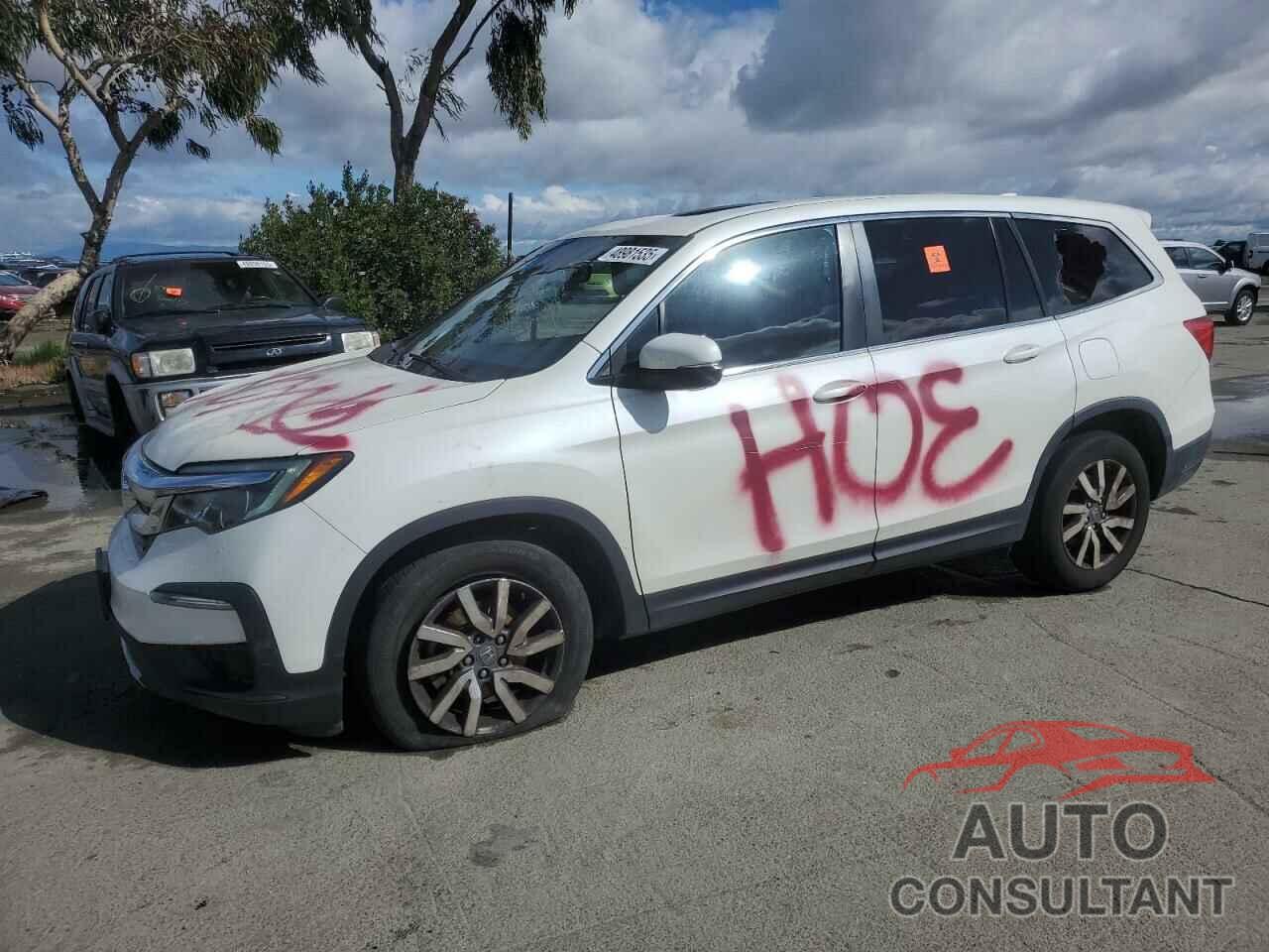 HONDA PILOT 2019 - 5FNYF5H56KB027030