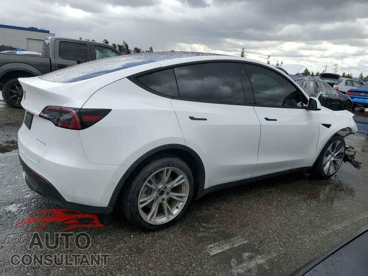 TESLA MODEL Y 2022 - 7SAYGAEE5NF574744