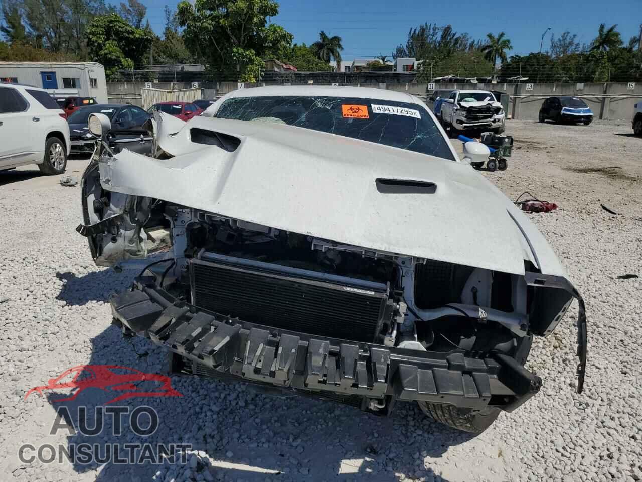DODGE CHALLENGER 2019 - 2C3CDZAG4KH557790