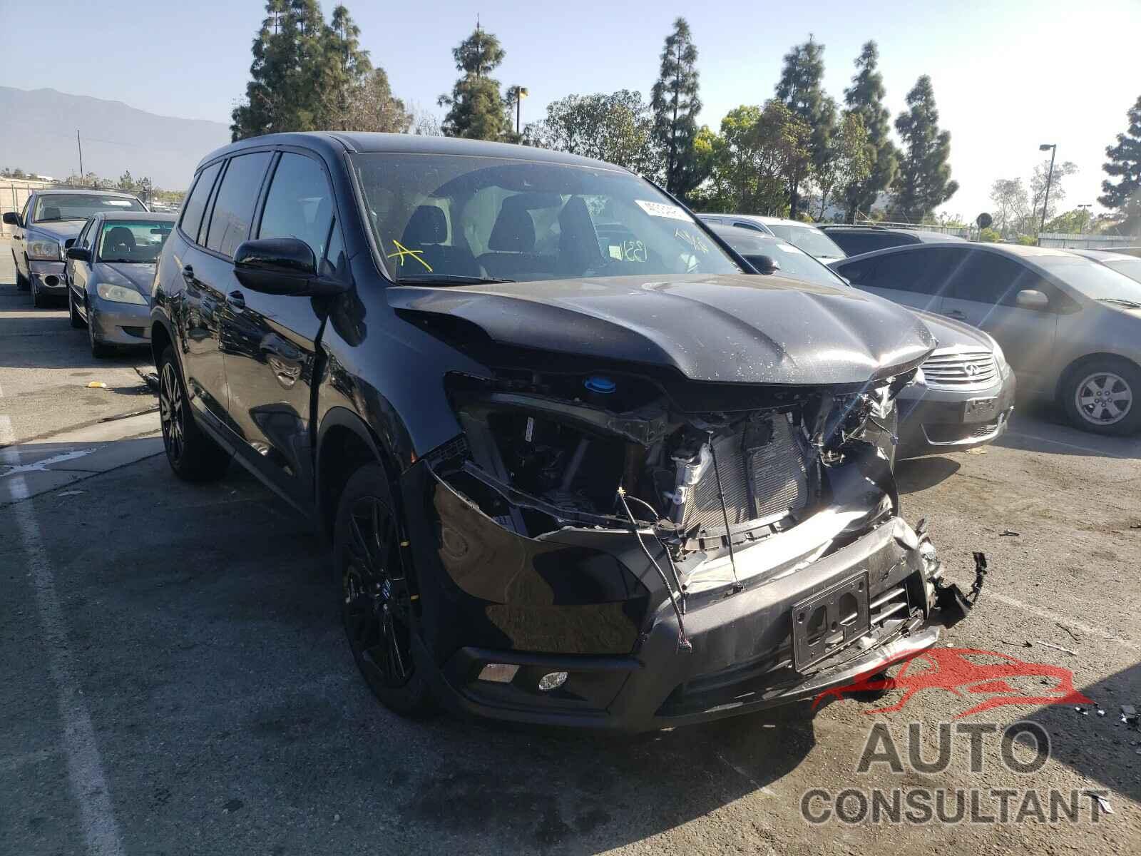 HONDA PASSPORT 2019 - 5FNYF7H29KB000566