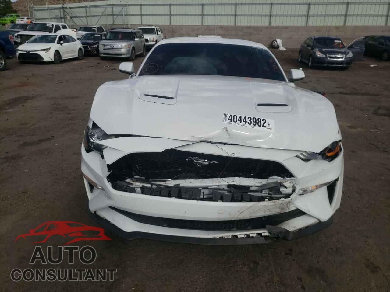 FORD MUSTANG 2019 - 1FA6P8CFXK5157681
