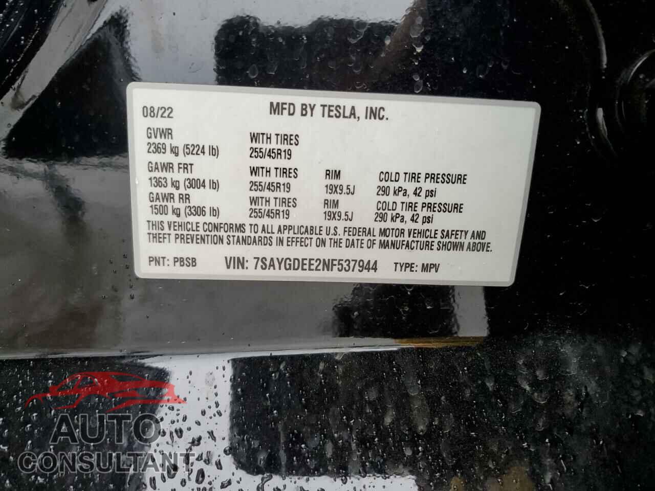TESLA MODEL Y 2022 - 7SAYGDEE2NF537944