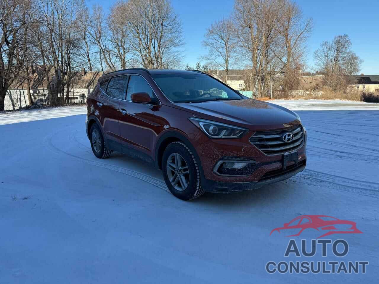 HYUNDAI SANTA FE 2017 - 5XYZUDLB5HG490859