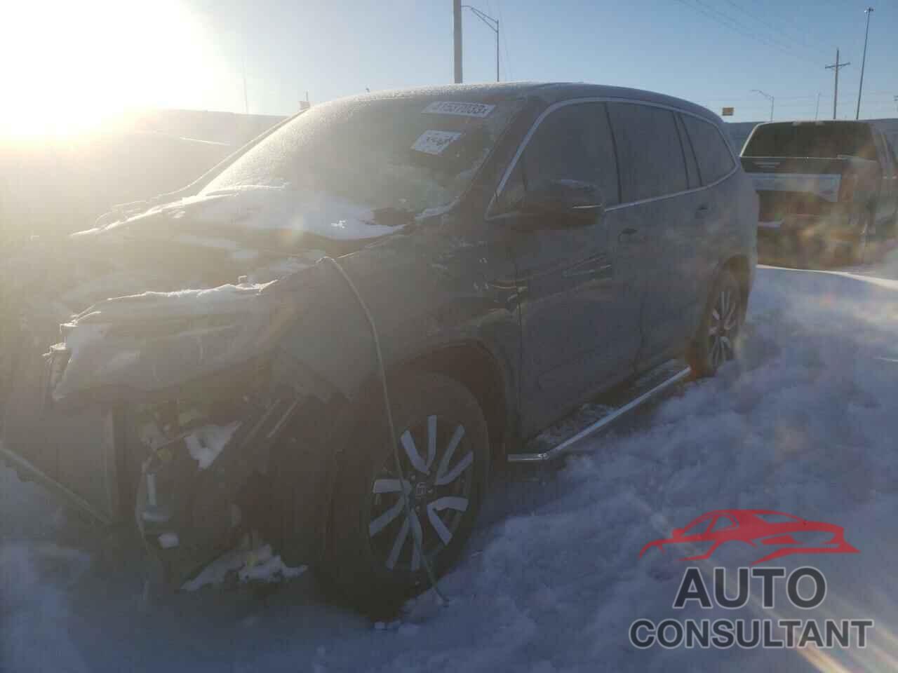 HONDA PILOT 2019 - 5FNYF6H59KB035628