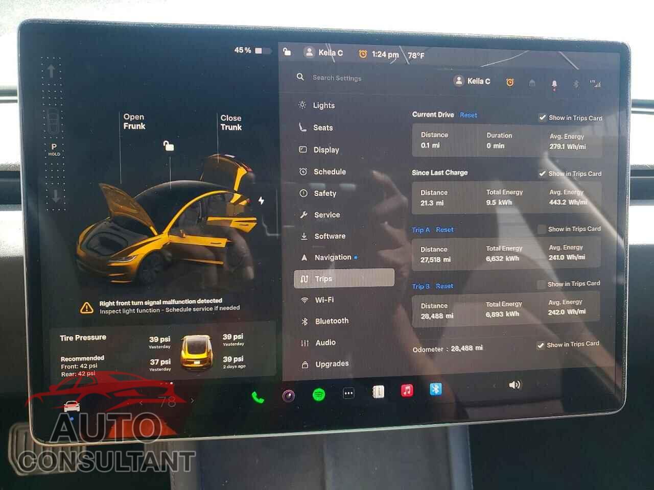 TESLA MODEL 3 2024 - 5YJ3E1EA8RF822842