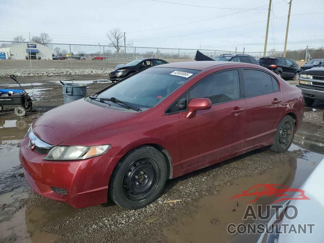 HONDA CIVIC 2009 - 19XFA16519E008256
