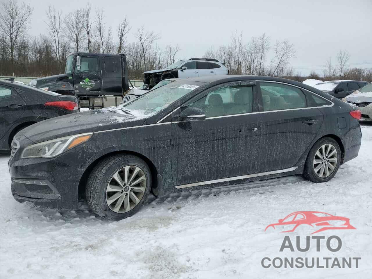 HYUNDAI SONATA 2016 - 5NPE34AF1GH429765