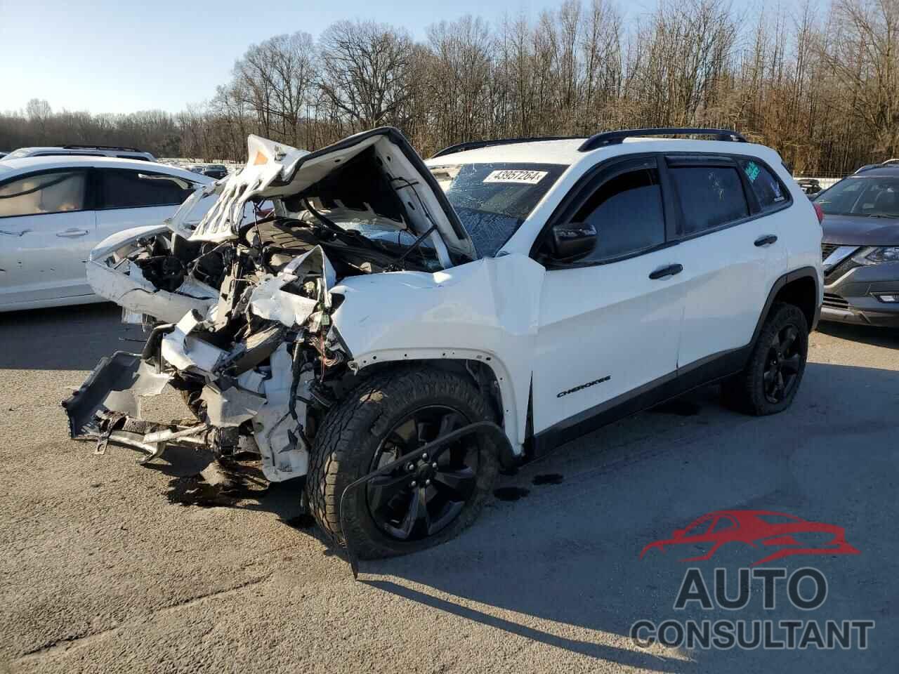 JEEP GRAND CHER 2016 - 1C4PJMAS9GW344596