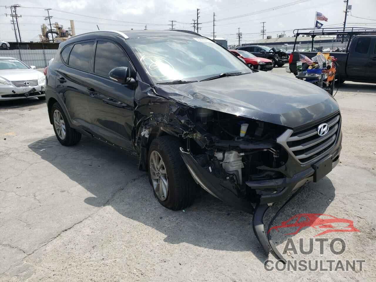 HYUNDAI TUCSON 2016 - KM8J33A20GU240354