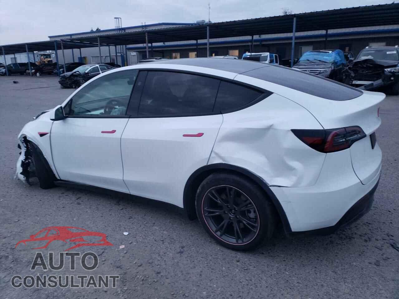TESLA MODEL Y 2024 - 7SAYGAEE9RF099721