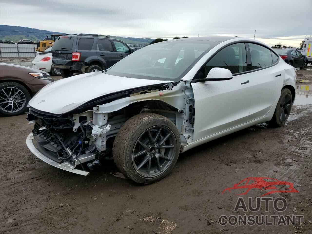 TESLA MODEL 3 2021 - 5YJ3E1EA1MF873642