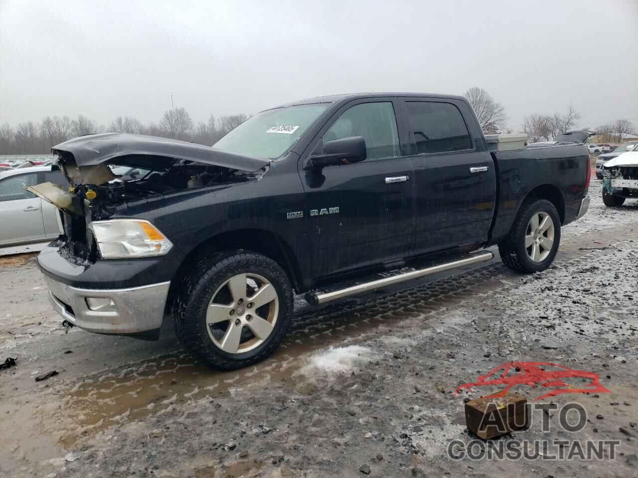 DODGE All Models 2009 - 1D3HV13T59S702081