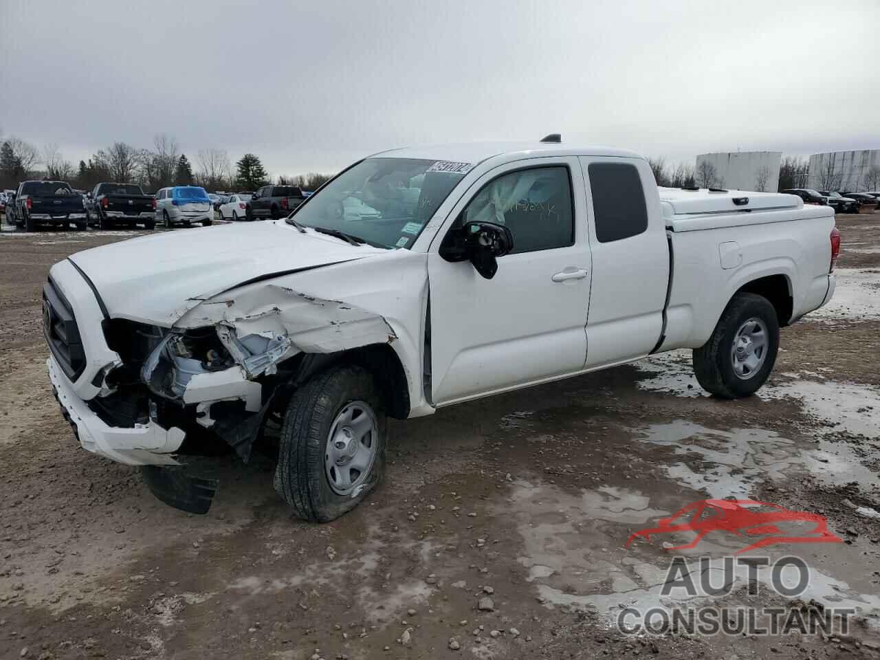 TOYOTA TACOMA 2023 - 3TYRX5GN4PT081100