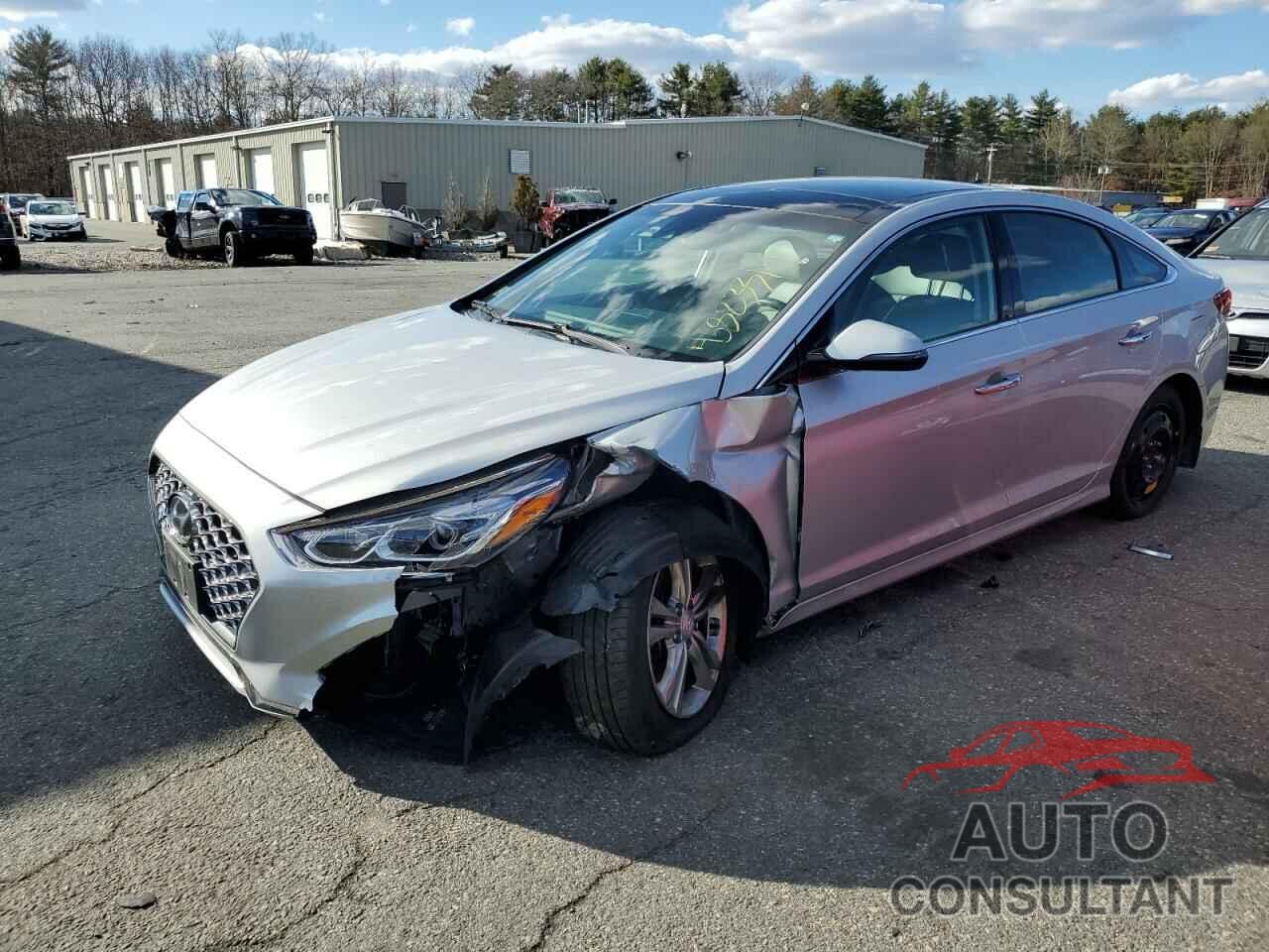 HYUNDAI SONATA 2019 - 5NPE34AF2KH812588