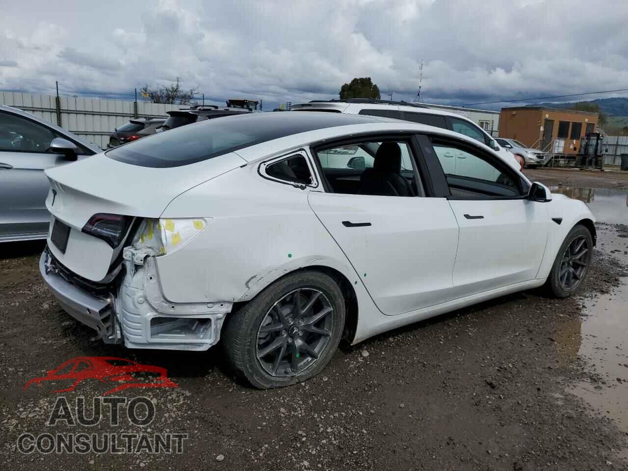 TESLA MODEL 3 2022 - 5YJ3E1EA7NF237566