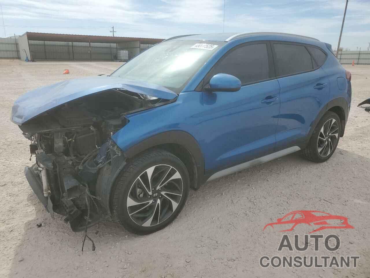 HYUNDAI TUCSON 2019 - KM8J33AL5KU981469