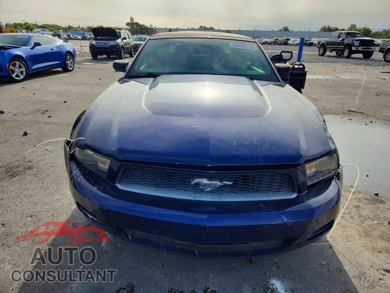 FORD MUSTANG 2011 - 1ZVBP8EM4B5163543