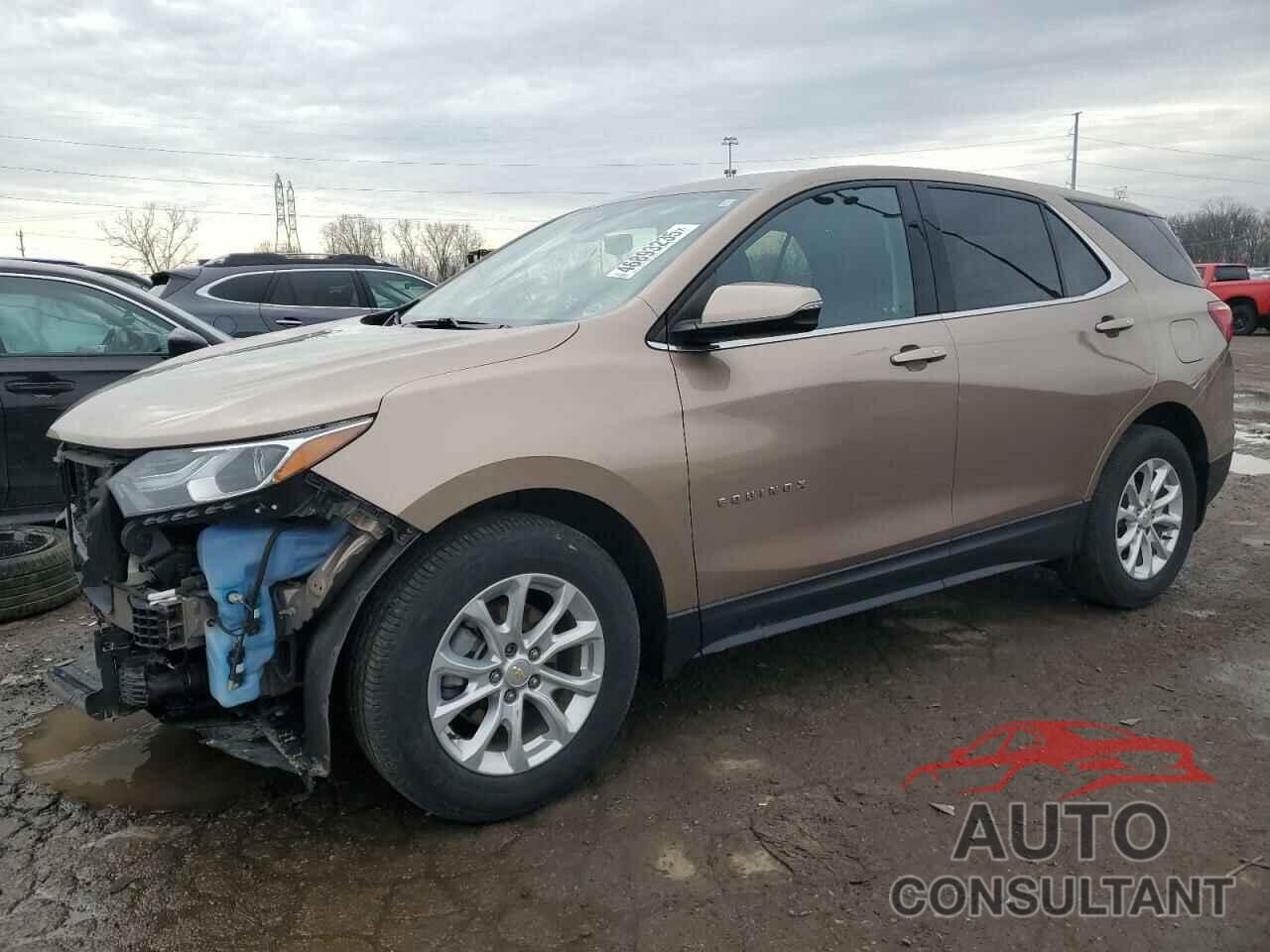 CHEVROLET EQUINOX 2019 - 2GNAXJEV3K6291461