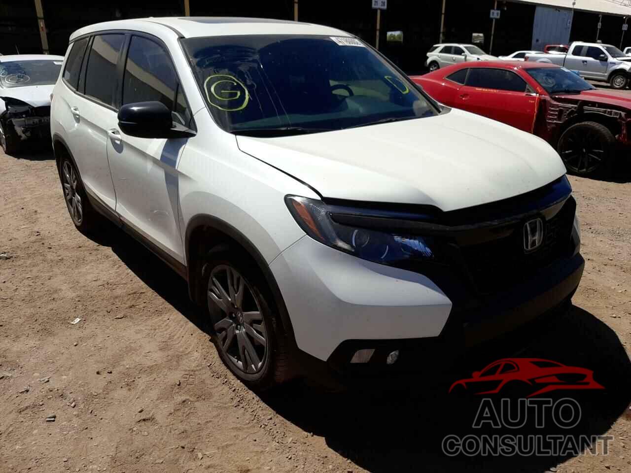 HONDA PASSPORT 2019 - 5FNYF7H51KB006517