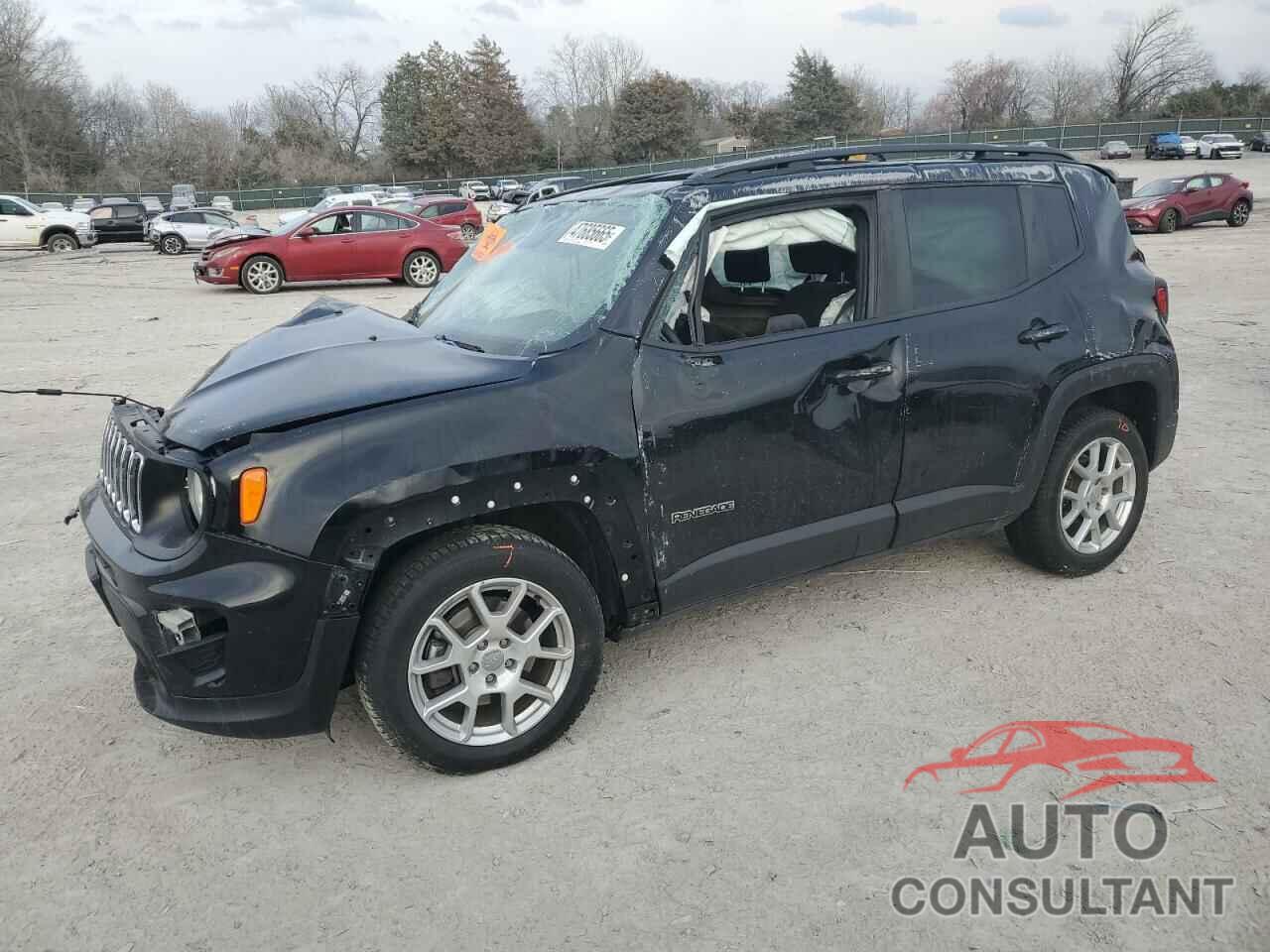JEEP RENEGADE 2019 - ZACNJABB6KPK21409