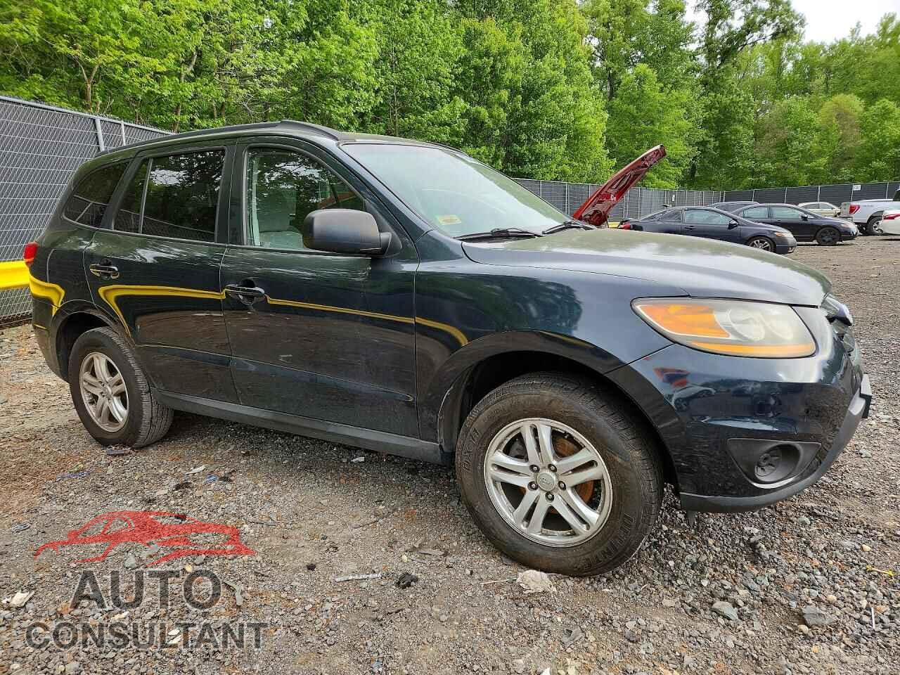 HYUNDAI SANTA FE 2010 - 5NMSGDAB4AH361180