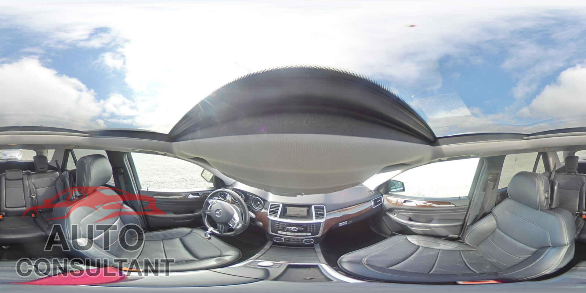 MERCEDES-BENZ M-CLASS 2014 - 4JGDA2EB6EA420136