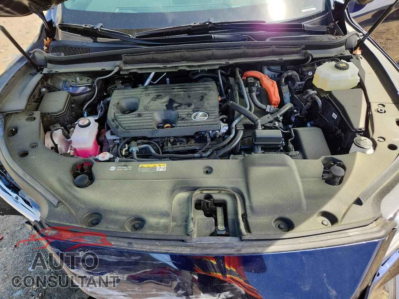 LEXUS UNKNOWN 2025 - 2T2BBMCA6SC082108