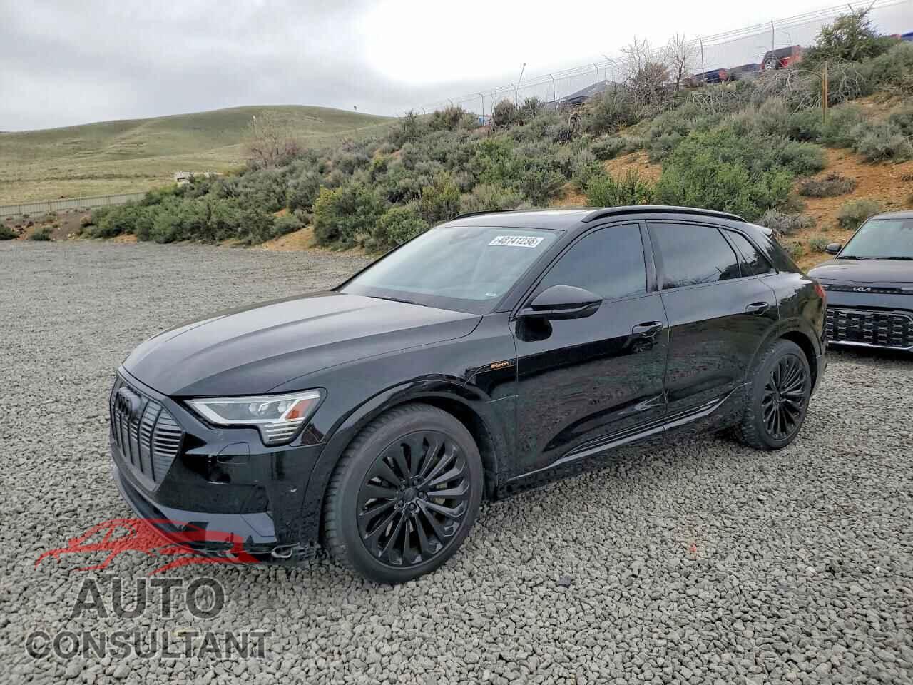 AUDI E-TRON 2019 - WA1VAAGE4KB009196