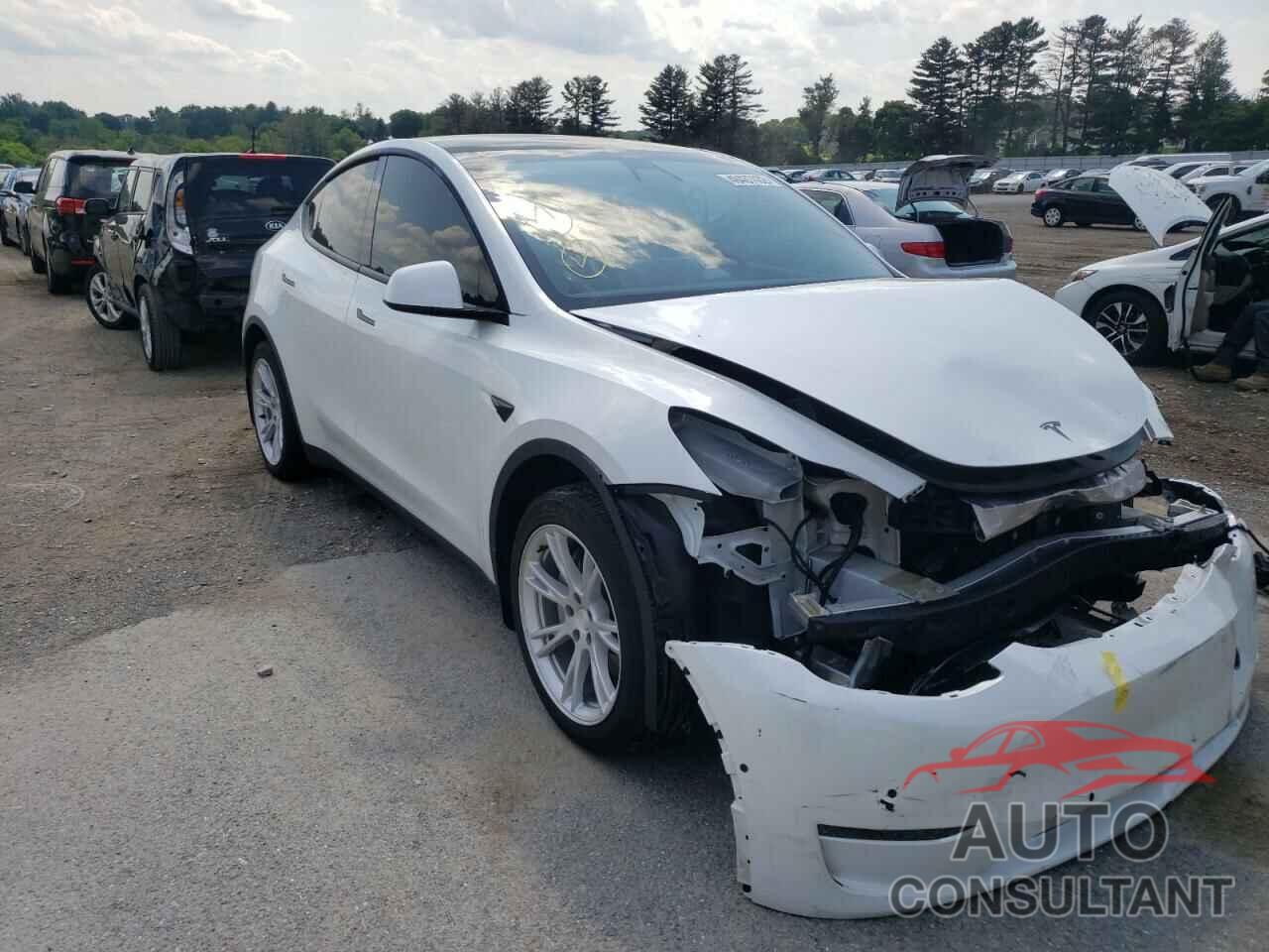 TESLA MODEL Y 2021 - 5YJYGDEE3MF207287