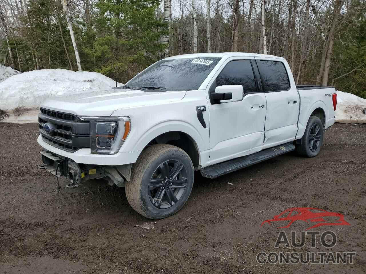 FORD F-150 2023 - 1FTEW1EP6PFA79259