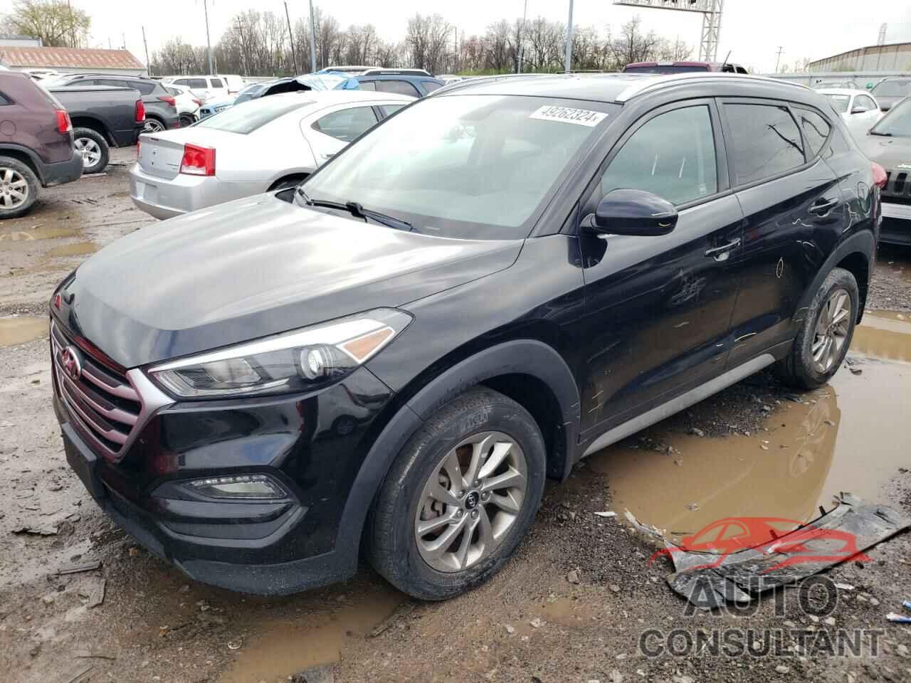 HYUNDAI TUCSON 2017 - KM8J33A43HU593786