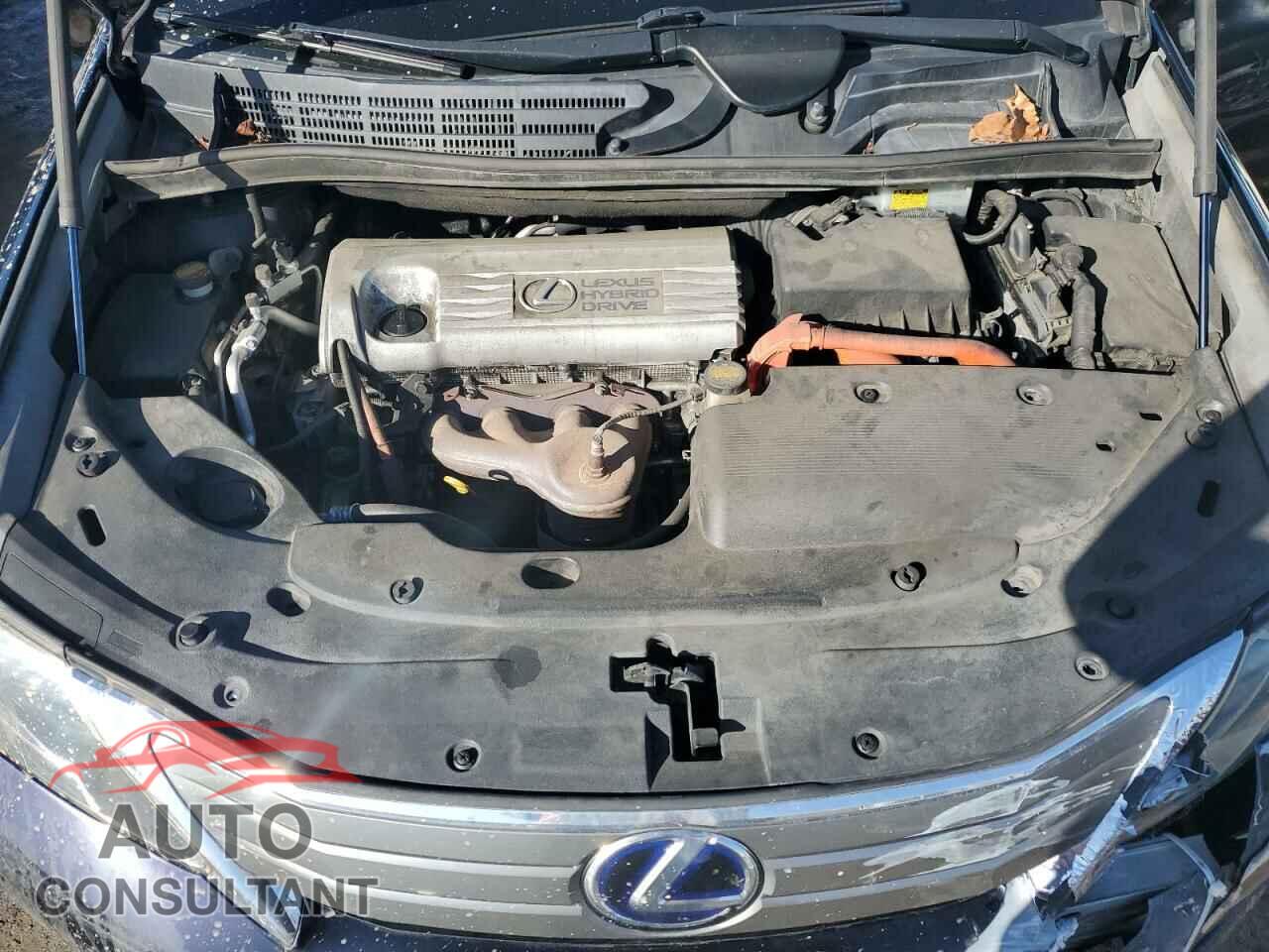 LEXUS HS 2010 - JTHBB1BAXA2015706